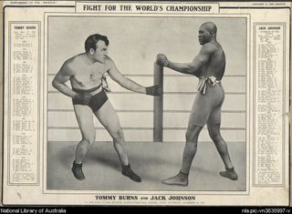 Johnson fighter